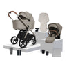 Cove Champagne Bundle (10 piece)